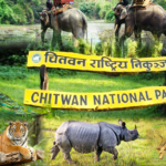 Elephant Guides of Chit-wan National Park in Nepal